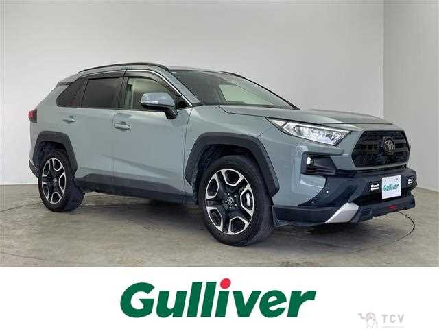 2019 Toyota RAV4