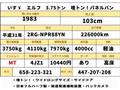 2019 Isuzu Isuzu Others