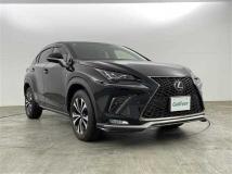 2019 Lexus NX