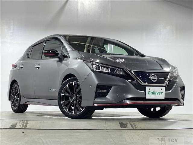 2019 Nissan Leaf