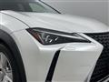2020 Lexus UX