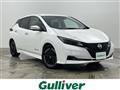 2025 Nissan Leaf