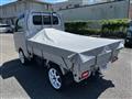 2020 Suzuki Carry Truck