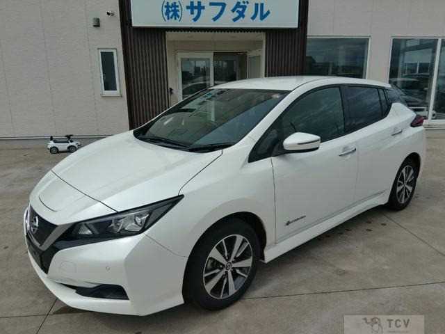 2019 Nissan Nissan Others
