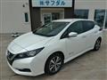 2019 Nissan Nissan Others