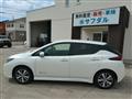 2019 Nissan Nissan Others