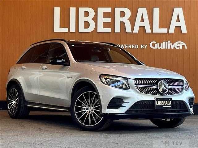 2017 AMG AMG Others