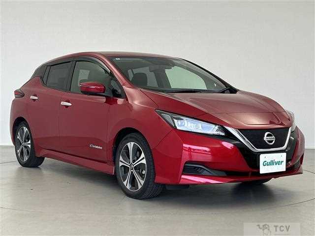 2020 Nissan Leaf