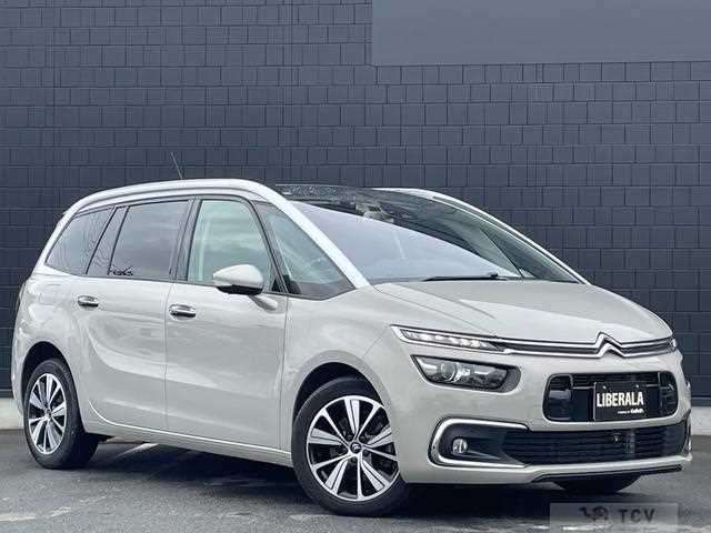 2019 Citroen Grand C4 Picasso