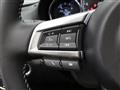 2020 Mitsuoka Mitsuoka Others