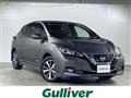 2019 Nissan Leaf