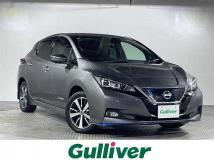 2019 Nissan Leaf