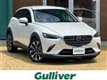 2019 Mazda CX-3
