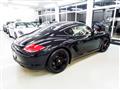 2010 Porsche Cayman