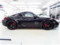 2010 Porsche Cayman