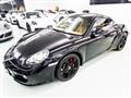 2010 Porsche Cayman