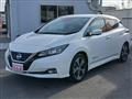 2018 Nissan Nissan Others