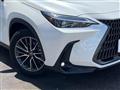 2024 Lexus NX
