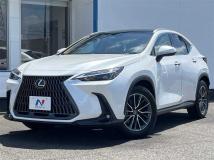 2024 Lexus NX