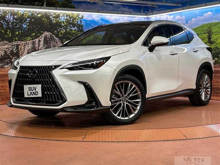 2023 Lexus NX
