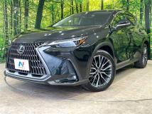 2022 Lexus NX