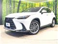 2022 Lexus NX