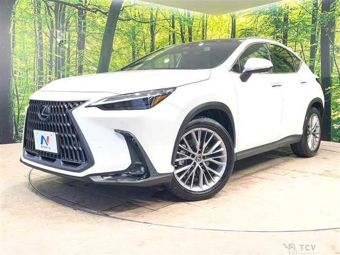 2022 Lexus NX