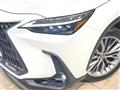 2022 Lexus NX