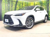 2022 Lexus NX