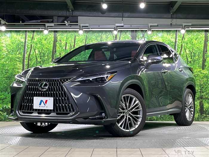 2023 Lexus NX