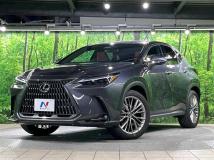 2023 Lexus NX