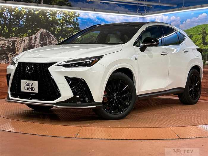 2023 Lexus NX