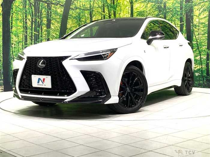 2023 Lexus NX