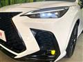 2024 Lexus NX