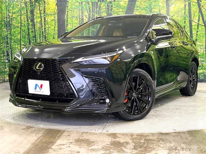 2024 Lexus NX
