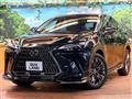 2021 Lexus NX