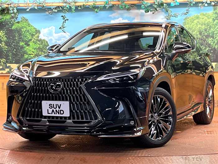 2021 Lexus NX