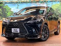2021 Lexus NX