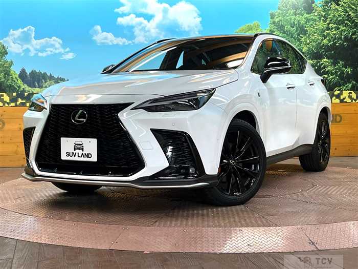 2024 Lexus NX
