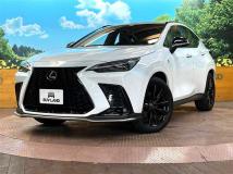 2024 Lexus NX