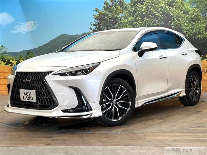 2023 Lexus NX