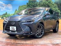 2023 Lexus NX