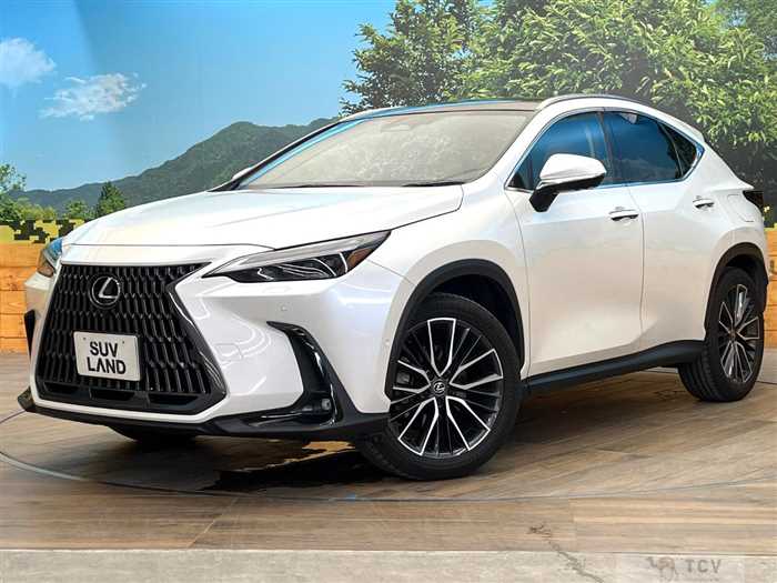 2023 Lexus NX