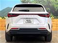 2023 Lexus NX