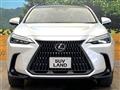 2023 Lexus NX