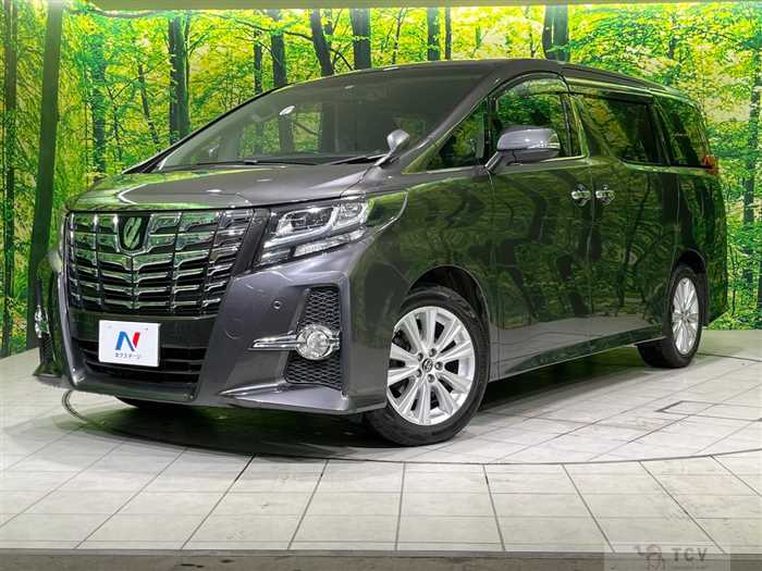 2015 Toyota Alphard