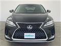 2019 Lexus RX