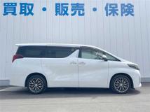 2020 Toyota Alphard