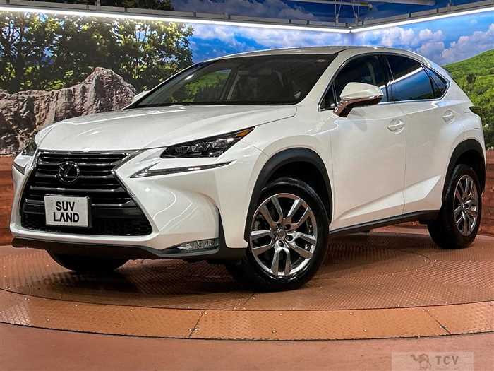 2016 Lexus NX