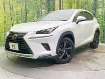 2018 Lexus NX